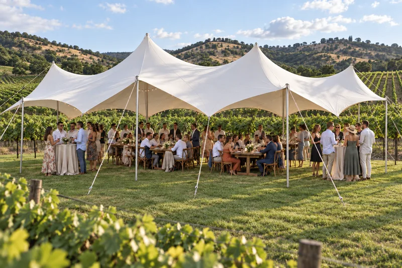 Dining and drinks beneath a sculptural stretch tent overlooking vineyard rows