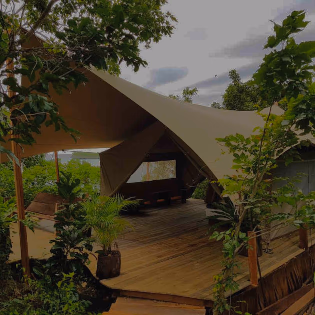 Step 3: Professional installation — crew setting up a stretch tent canopy