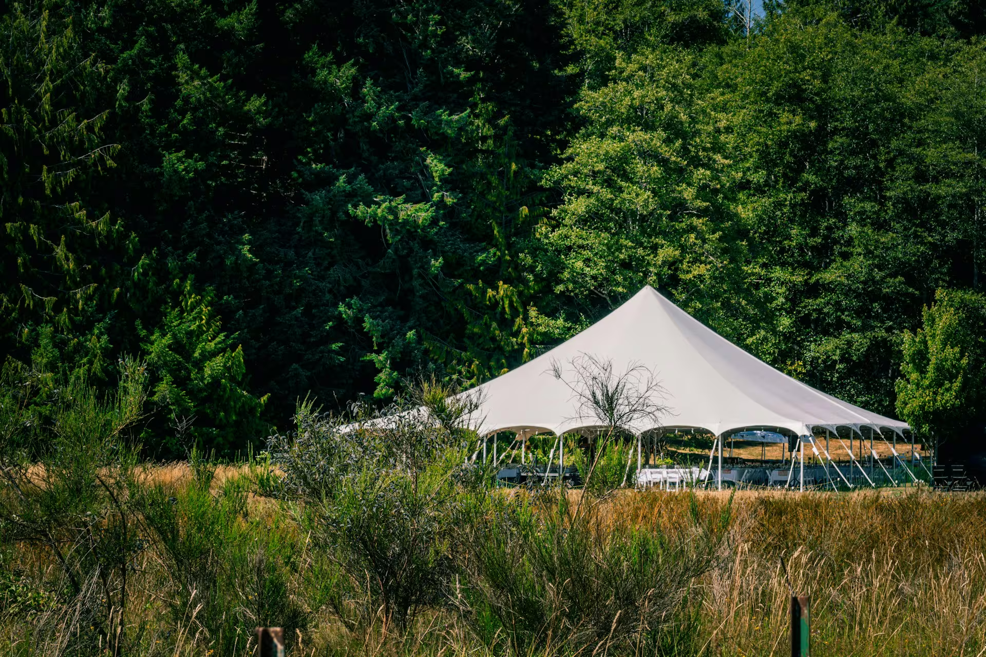 Top benefits of renting vs buying a stretch tent